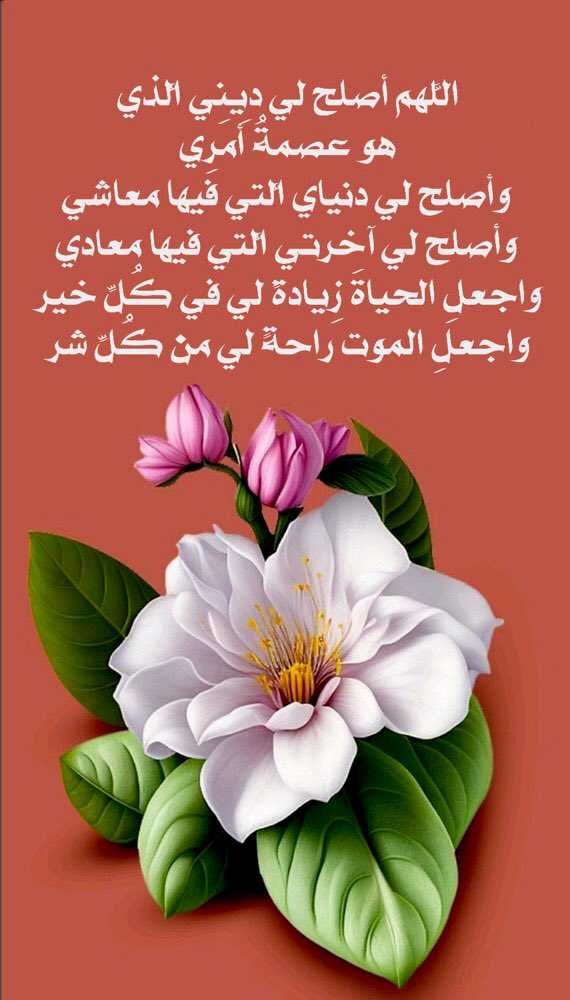 islamic_pic2's tweet photo. اللهم أصلح لي ديني الذي هو عصمة أمري
وأصلح لي دنياي التي فيها معاشي…@islamic_pic  @islamic_pic2 #خلفيات #بطاقات #صور #رمزيات #خطوط #صور_إسلامية 
 #تصميم #أذكار_الصباح_والمساء https://t.co/q9CNvQagoW