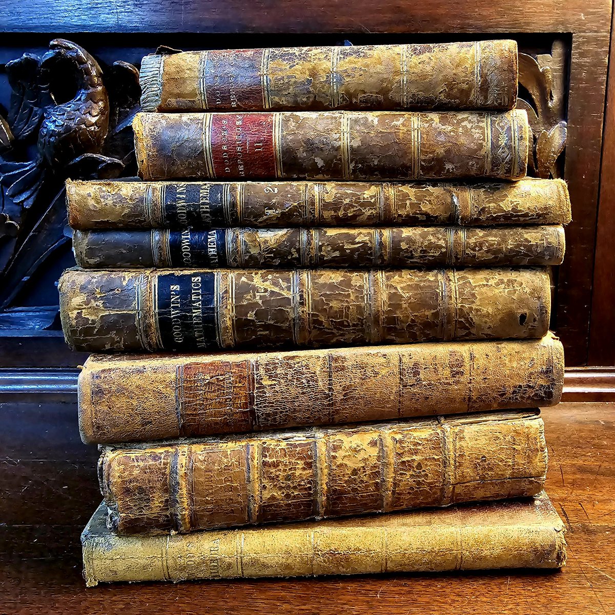 Sometimes I just get a chance to take a nice photo. Even in genteel decay books have something about them.