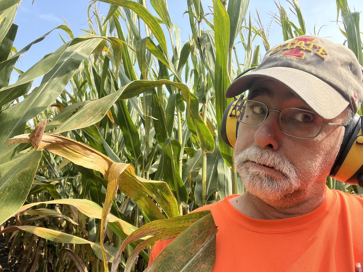 jmacshriver's tweet photo. Can’t get your shirt orange from Southern Rust spores if the shirt is orange to begin with. #SouthernRust https://t.co/emhGhPOCT3