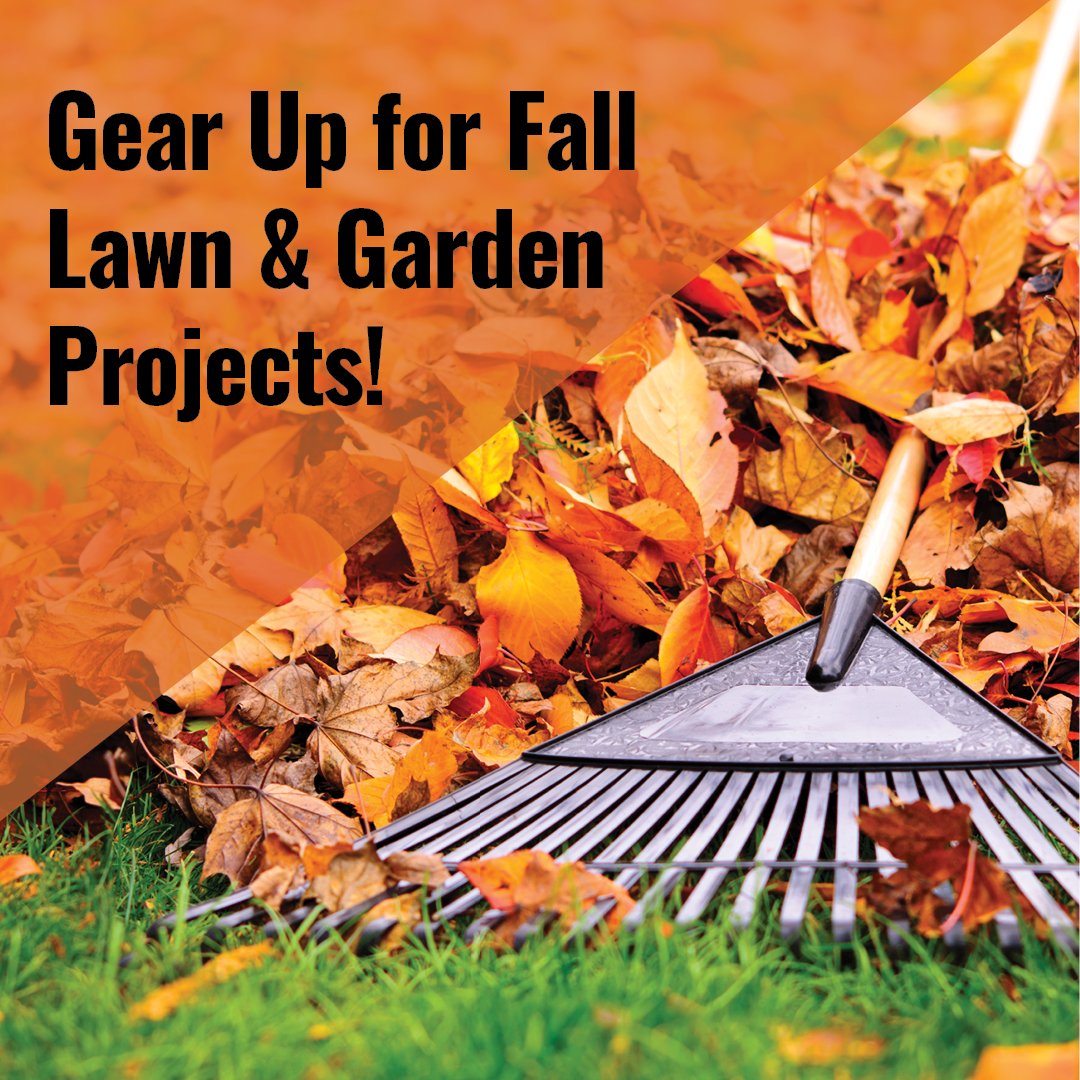SouthernStates's tweet photo. Fall is the perfect season to give your lawn a fresh start!🍁 Check out our top tips for successful reseeding - https://t.co/cyNb7EMFh5 https://t.co/oDTevLNvGd