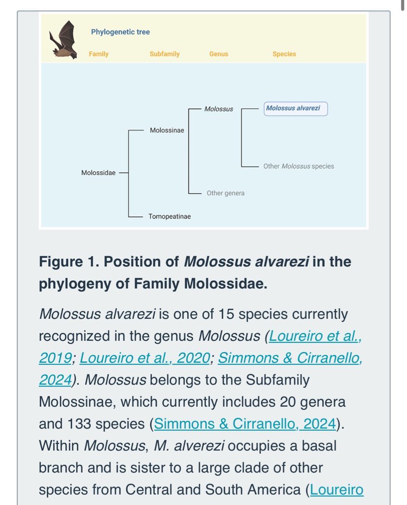 Bat1k Genome Project tweet media