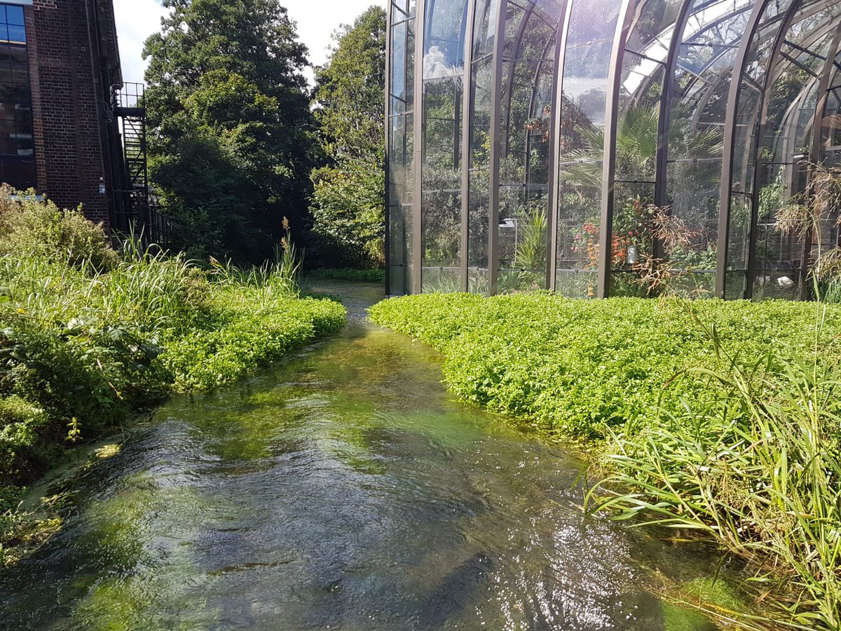 Hogwartseeker's tweet image. An amazing experience, great gin &amp;amp; the sun even came out ☀️😃What a fantastic day @BombaySapphire 

@bombaysapphire @bombaysapphireuk #BombaySapphire #bombaysapphiredistillery