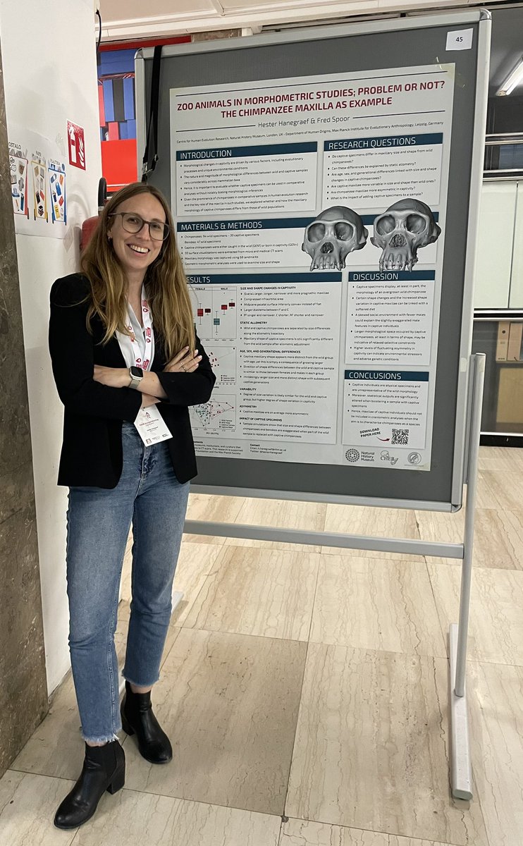 HesterHanegraef's tweet image. Ready for the first poster session of the @ESHE_society annual meeting! Come find me at poster board no. 45 to chat about the differences between wild and captive chimpanzee maxillae #ESHE2024 🐒