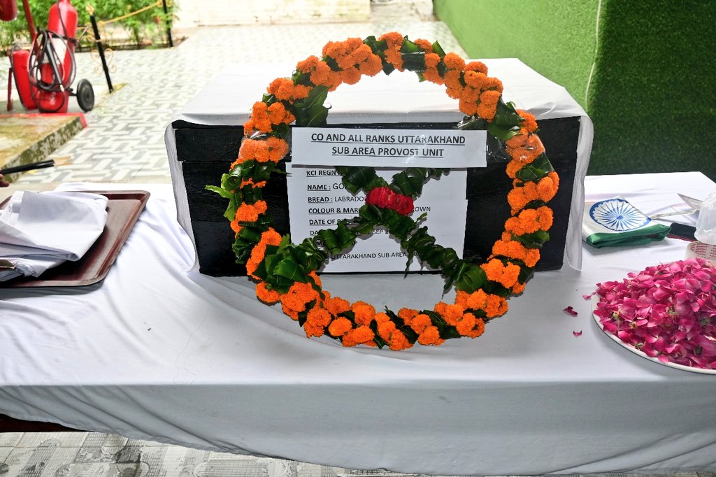 PRODefDehradun's tweet image. #ArmyCanine

Uttarakhand Sub Area #Provost Unit paid homage to Army No 3B43 "GOPAL" (Labrador), an adopted Superannuated Canine from RVC, in a solemn wreath laying ceremony at #Dehradun.
  
GOPAL had participated in numerous missions during his decade plus #ServicetotheNation.
