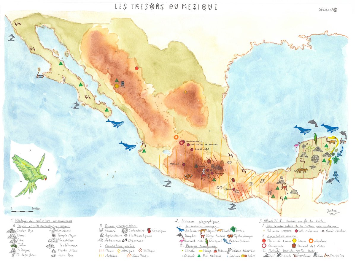 Junevgt's tweet photo. Nouvelle carte sur #Stinarto, au programme : les trésors du Mexique 🌎

#lageocasedessine #Mexique #azteque #mayas #trésors #cartes https://t.co/CckS4QE27Y