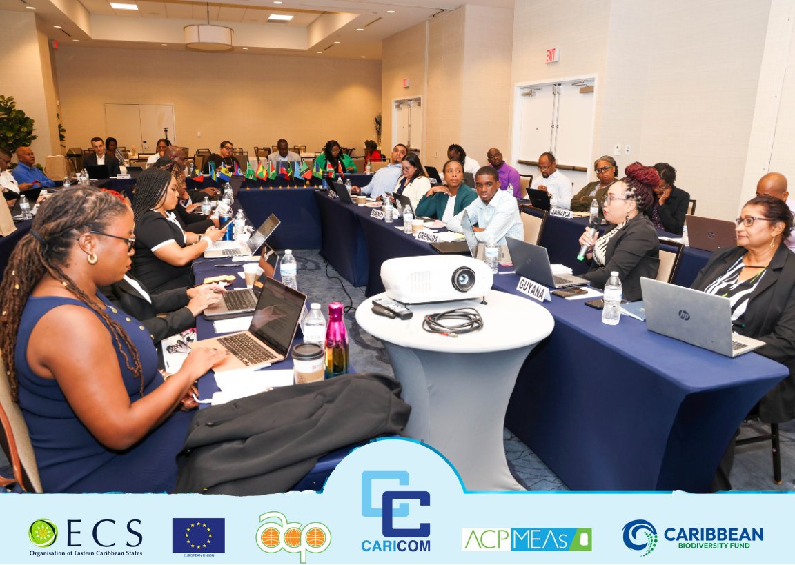 CARICOMorg's tweet photo. #HIGHLIGHTS
🪴Day 1 of the Pre Biodiversity COP-16 Regional workshop in Miami, Florida to prepare Caribbean negotiators to effectively participate in COP 16.

#COP16 #Biodiversity #CARICOM #OECS #MEAPS https://t.co/KHiAay3ZCk