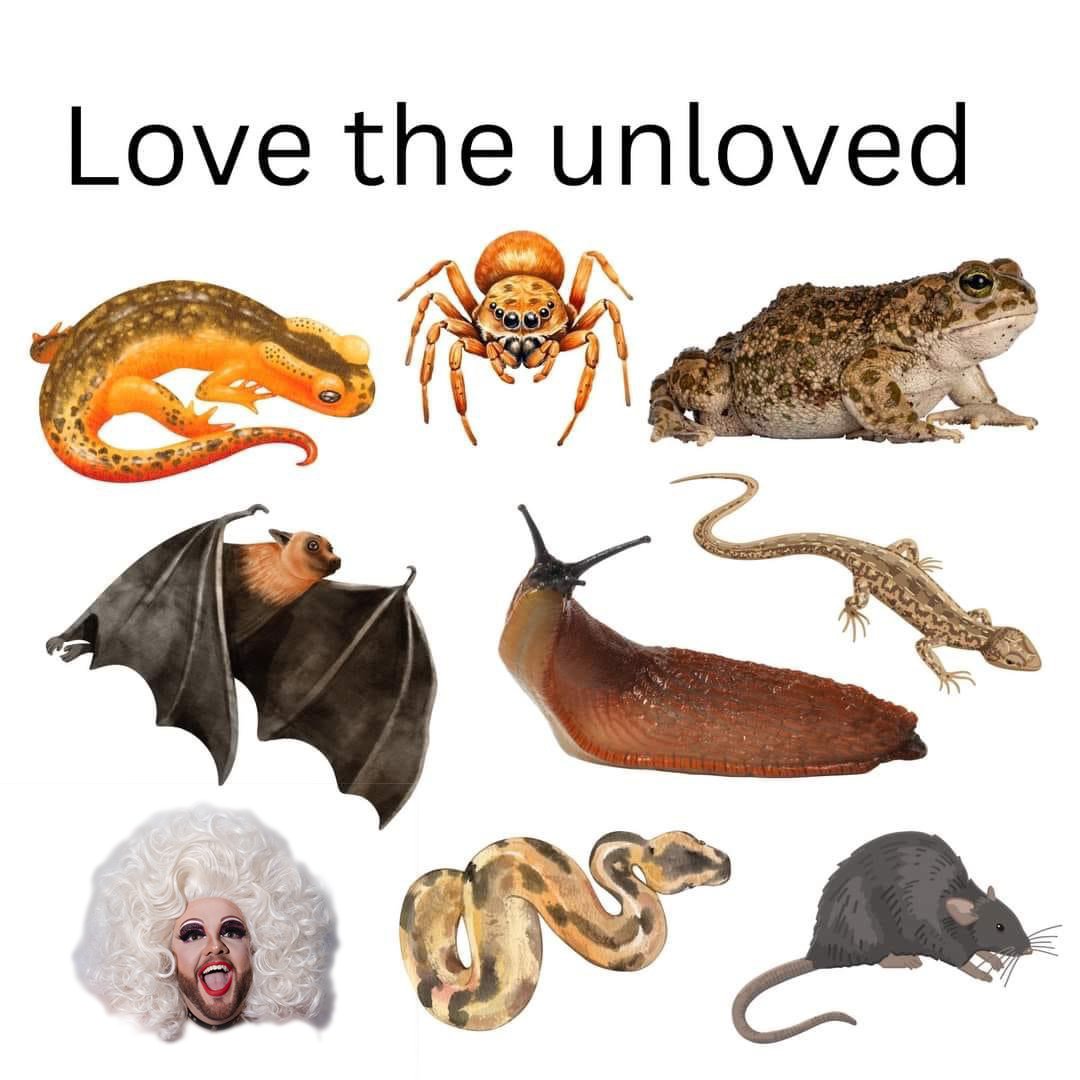 Omg so true there's beauty everywhere if you look for it 🥰