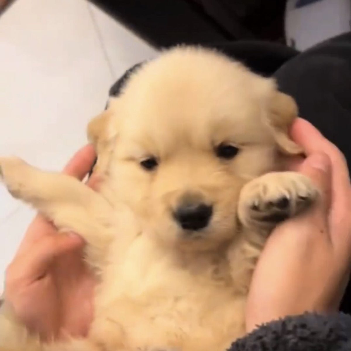 takemybear's tweet image. ทำไมเด่ะนี้ไม่จุ้บก่อนนอนเลย งอ น