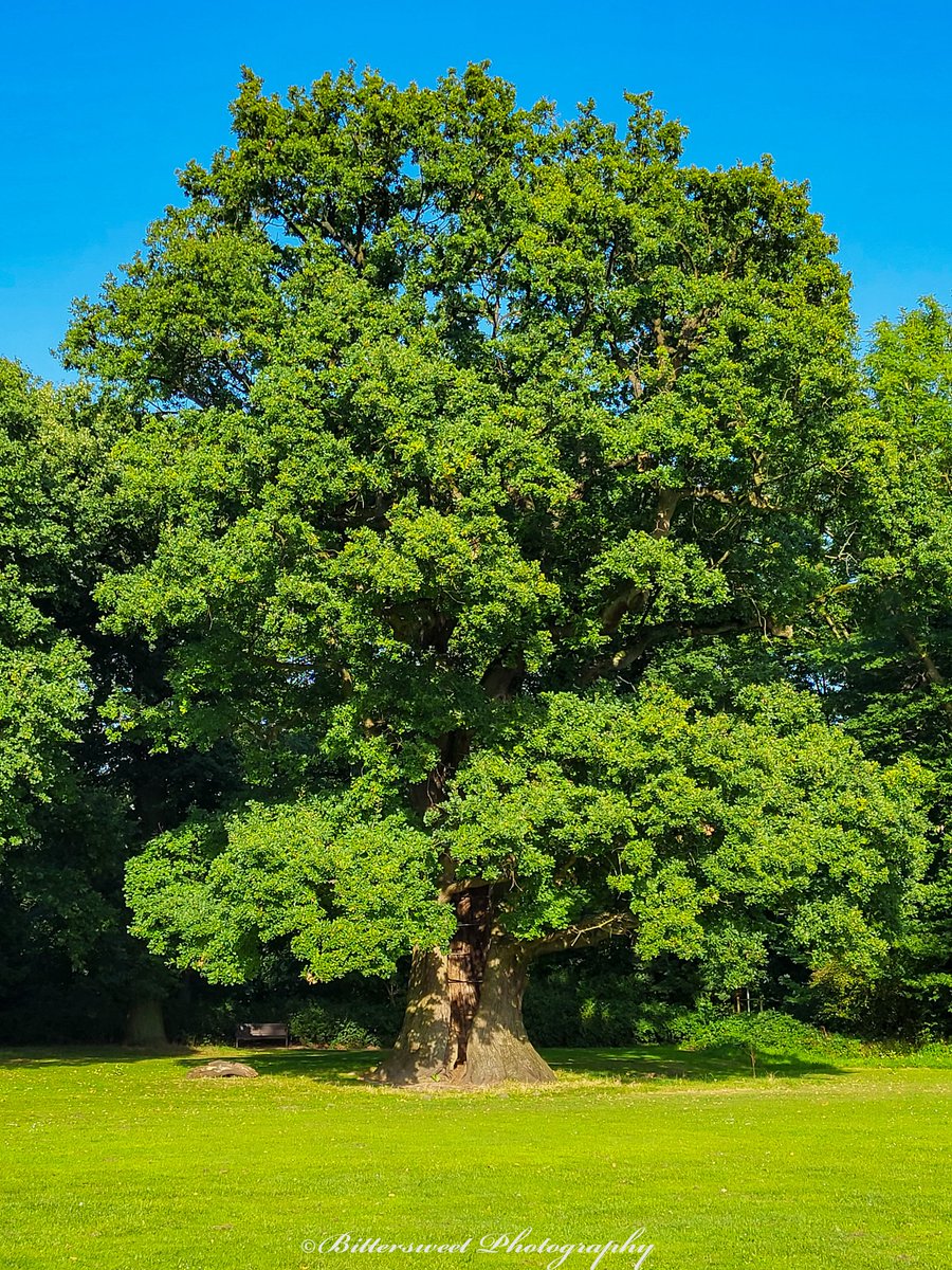 Moin Leute,
Der nächste Teil fer Hamburg Fotos ist nun auch da. Morgen gibt es dann die letzten Fotos von der Tour 
😊
Wie immer vollständig zu finden auf
bittersweet-photography.de

#Hamburg #Städtetrip #Fotografie #Hobby #canon #eos200d