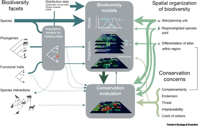 Juan Antonio Hernández-Agüero (@hernandezaguer) on Twitter photo Pollock et al. - 2020 - Protecting Biodiversity (in All Its Complexity): New Models and Methods - <a href="/Trends_Ecol_Evo/">Trends in Ecology & Evolution</a>
doi.org/10.1016/j.tree… Pollock et al. - 2020 - Protecting Biodiversity (in All Its Complexity): New Models and Methods - <a href="/Trends_Ecol_Evo/">Trends in Ecology & Evolution</a>
doi.org/10.1016/j.tree…