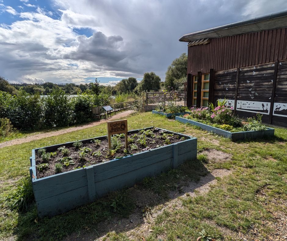 BBOWT_NatureDC's tweet image. Volunteers from local charity @8bellscommunity have been busy today planting up their adopted flower bed outside the centre.  It looks fabulous - a big thank you to all the volunteers who came along today.

#8bellscommunity #communityplanting #volunteers