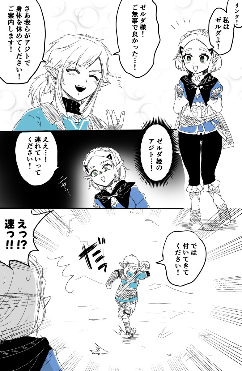 途中で気づくべきだった偽ゼルダ様 