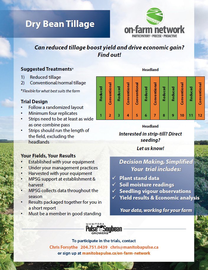 OFNagronomist's tweet photo. Interested in testing reduced tillage (e.g. strip tillage) for edible beans? Previous trials have shown positive results. Please get in touch with me to set up strips for next season. https://t.co/e1zpS9bUyk
