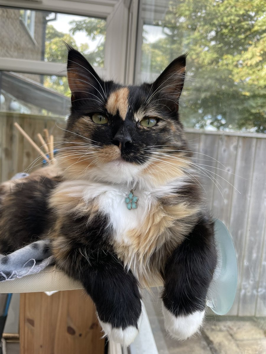 silly little girl with her silly little paws