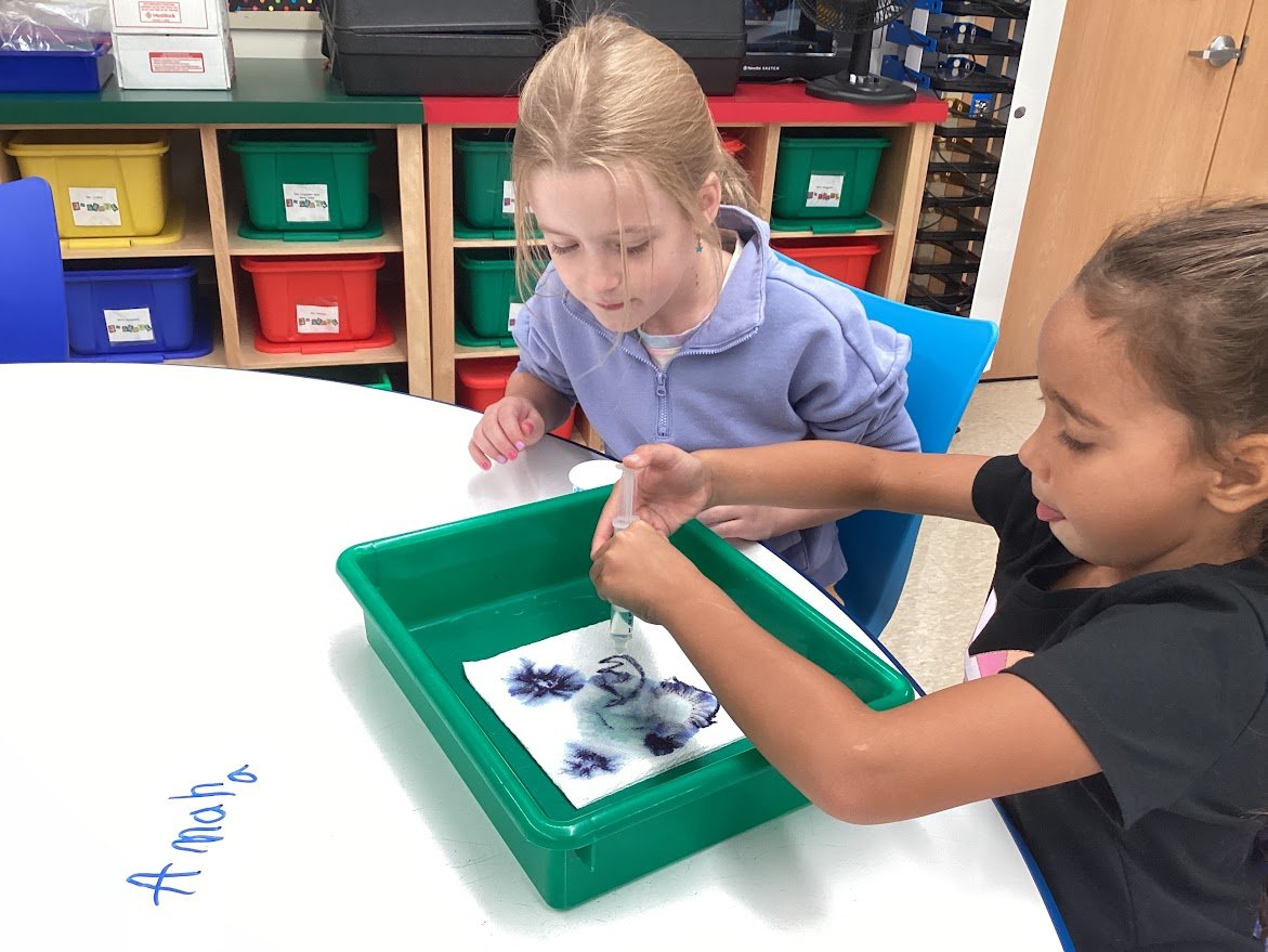 JKSTEAMLAB's tweet image. 2nd Graders doing their first science experiment of the year.  The marker separates into a variety of pigments, some quicker than others depending on the molecules within that particular color.
@BataviaJK