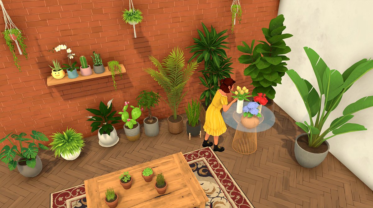 all of our interior plants so far °❀⋆.ೃ࿔*:･