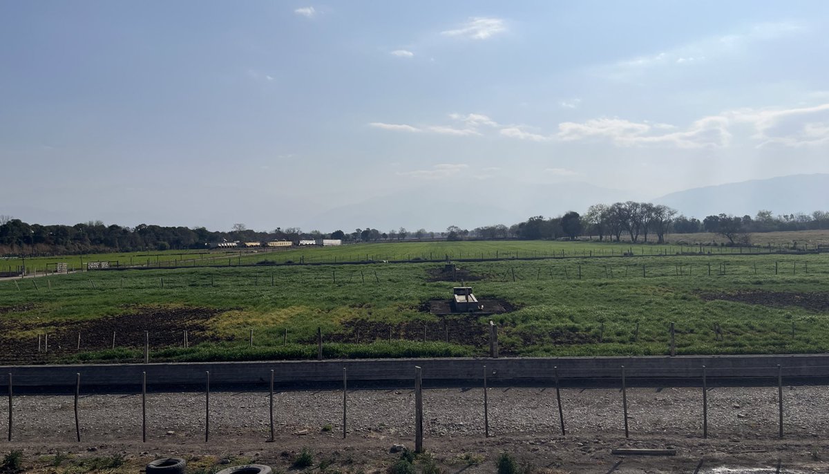 Del premio a la mejor carne a sembrar sobre el corral... derecho y sin escalas 🤦🏽‍♀️ #negocios que pasan…
Volveremos 💪🏽💪🏽
#feedlotlife