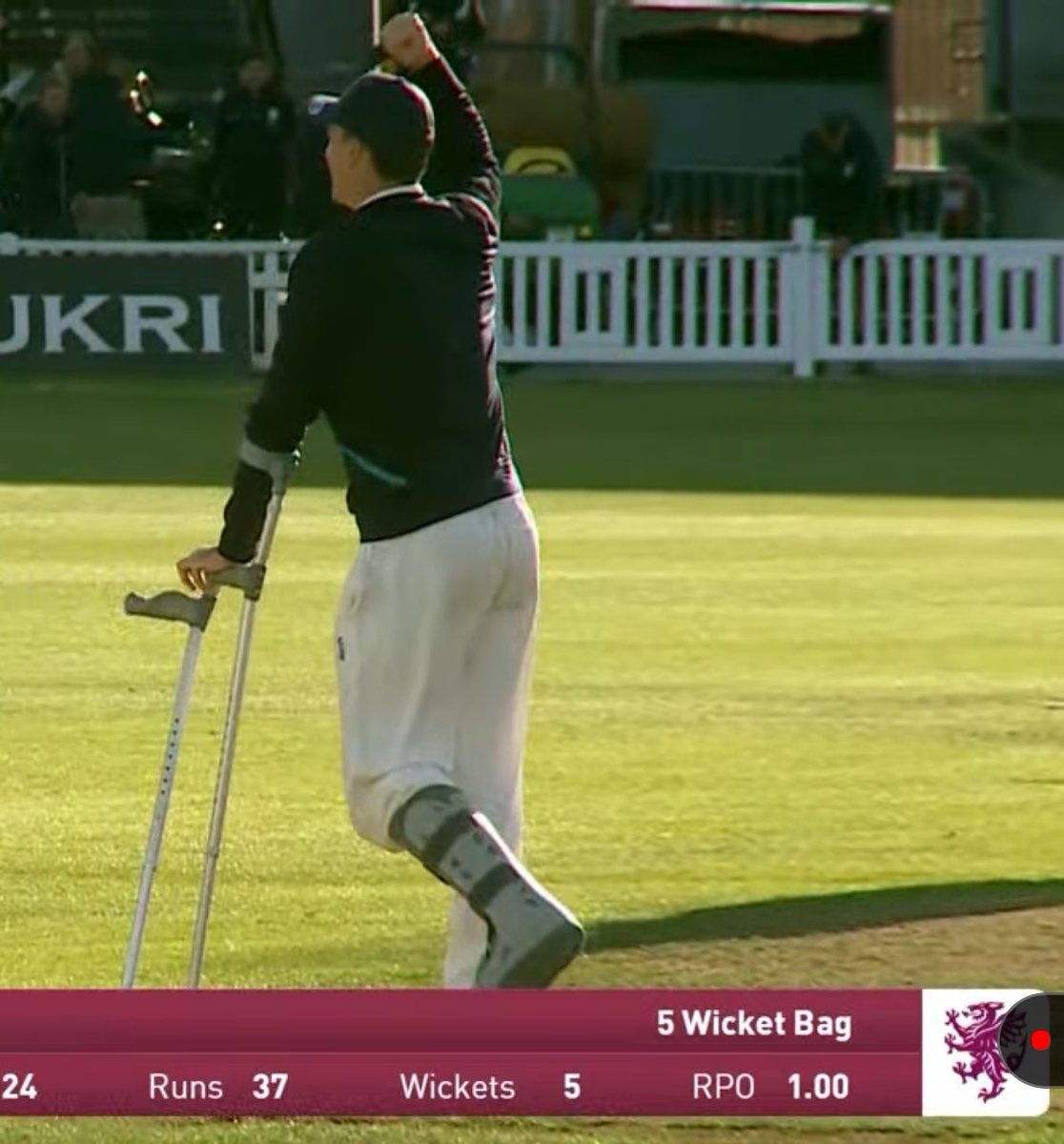 Peter Trego tweet media