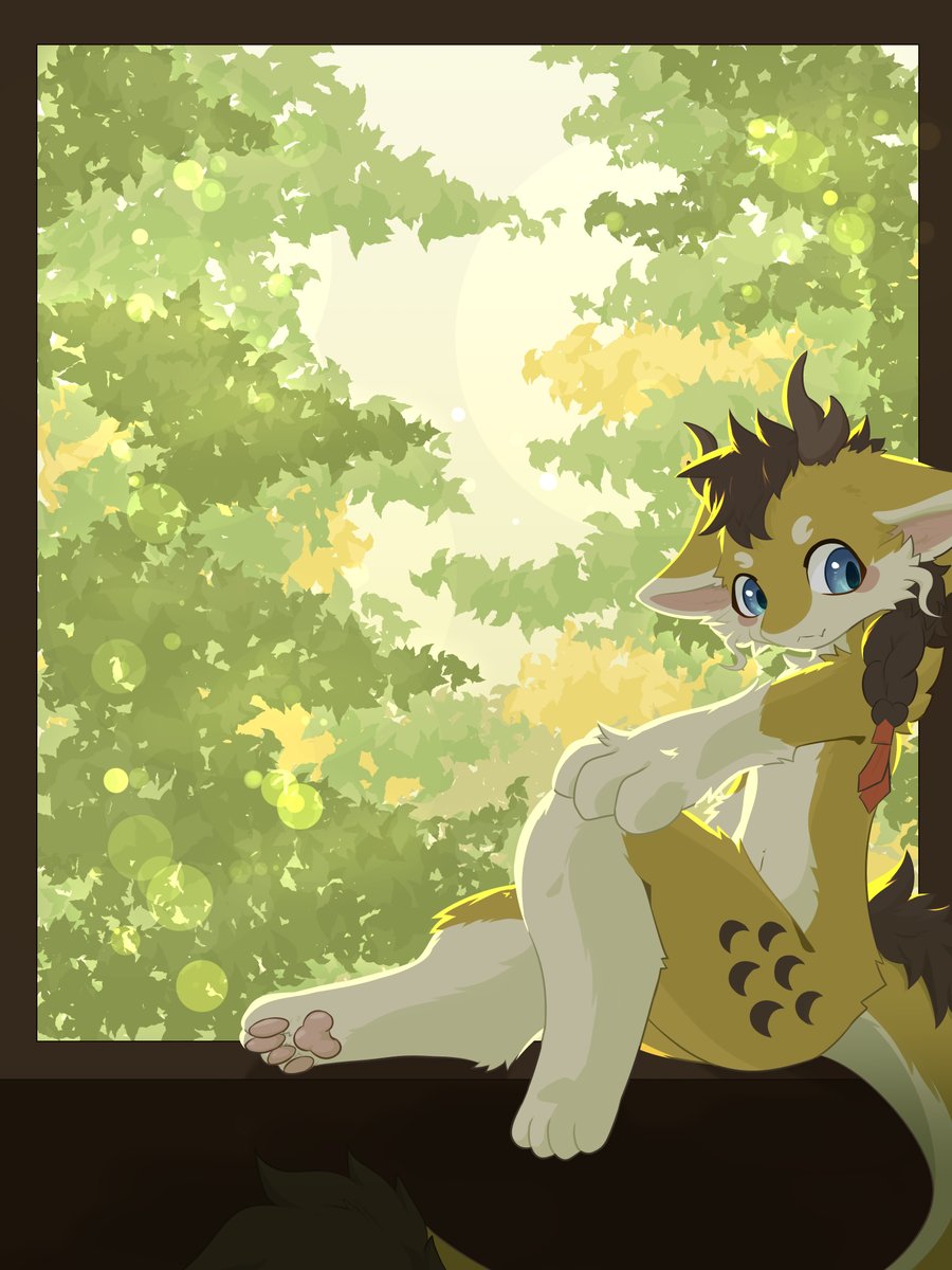 🪟🐉

🎨 : @sinjd99