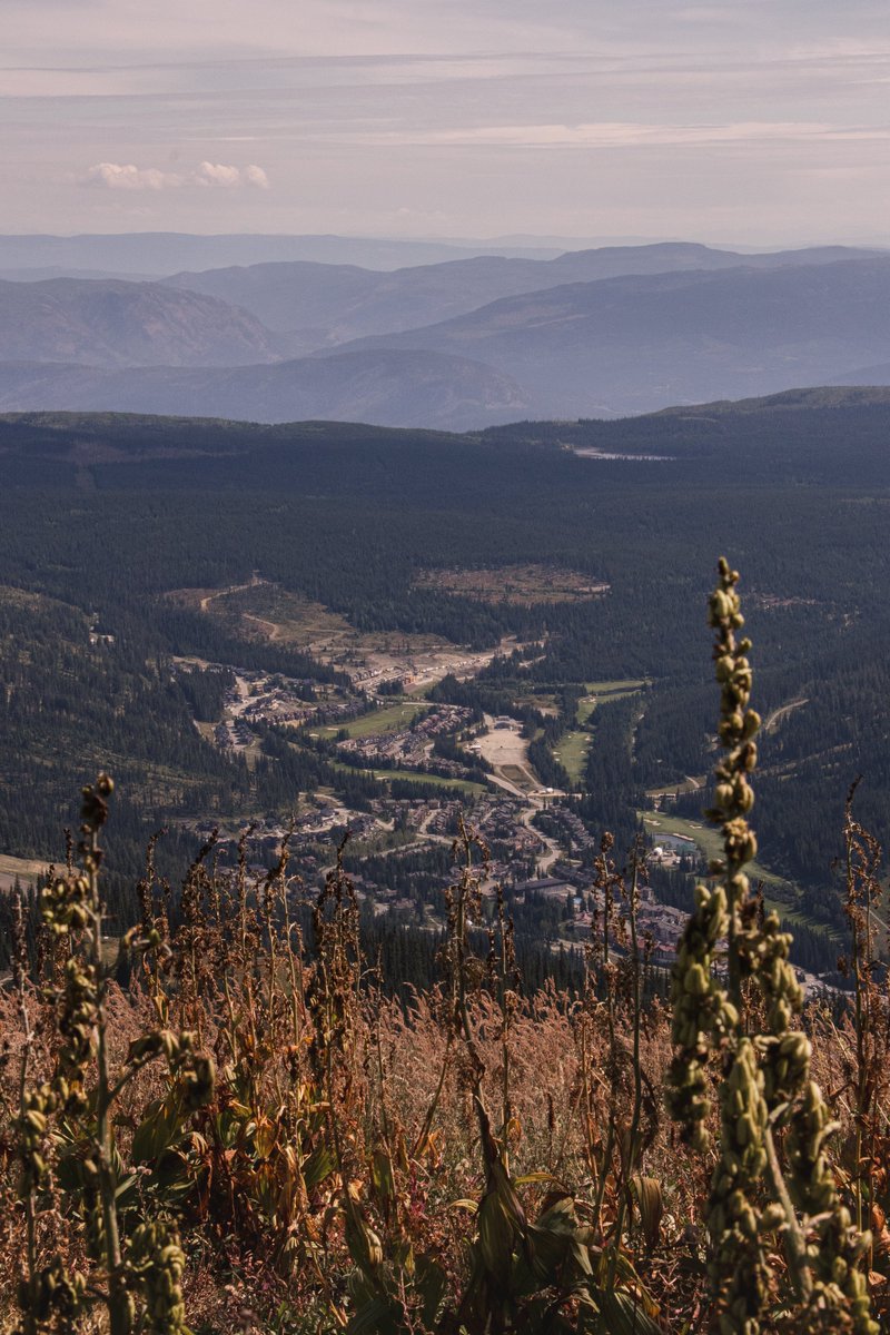 Sun Peaks Resort tweet media