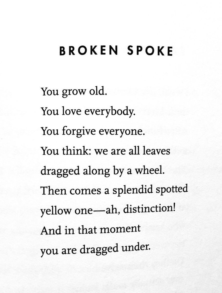 MayaCPopa's tweet photo. Mary Ruefle: https://t.co/UyO49J9n2N