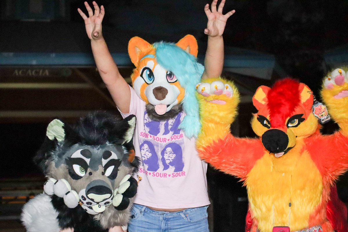 RedPandis's tweet image. Gonna make a little pin for my thing!

☀️ Welcome to my silly wah page! I’m just pretty much here to post goofy photos of me being a red panda :3! If you ever see me at a meet or a con say hi ✨☀️

Also brownie points if you play dead by daylight 😤