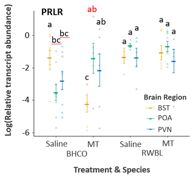 Fernanda G. Duque tweet media