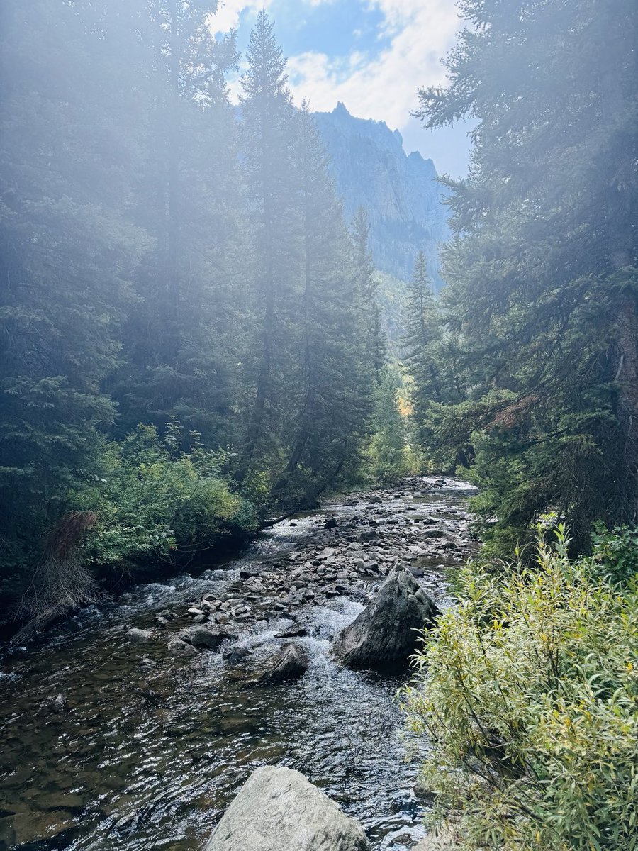 I’m always in my happy place when I’m hiking. Got to see a Bull Moose &amp; Cow moose.. we apparently missed a grizzly bear by a minute. #HiddenFalls #InspirationPoint #CascadeCanyon #JennyLakeLoop #Wyoming #GrandTetonNP