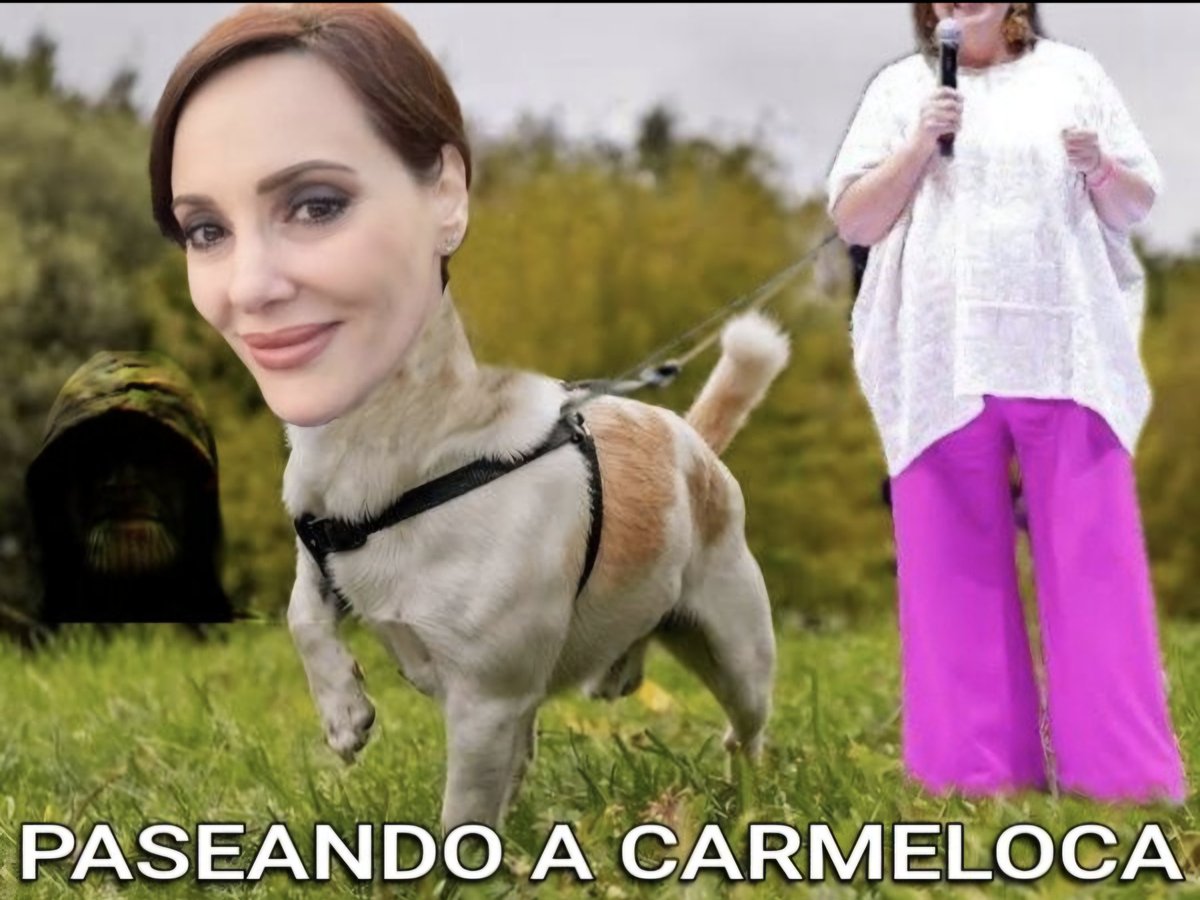 LudensLilith's tweet photo. @LillyTellez Para que no te vuelva a poseer el espíritu de tu padre Judas Iscariote, @LillyTellez, no tenías que tirar las monedas, porque igual #traicionaste tú; sólo basta con que te den un paseo por el parque y listo https://t.co/U9VaY9sdZl