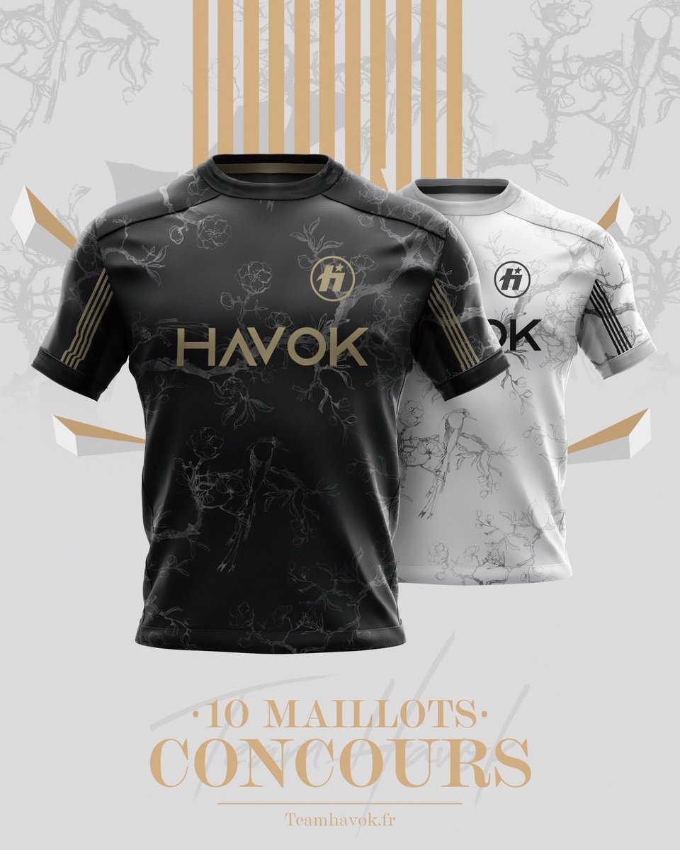 Team HavoK tweet media