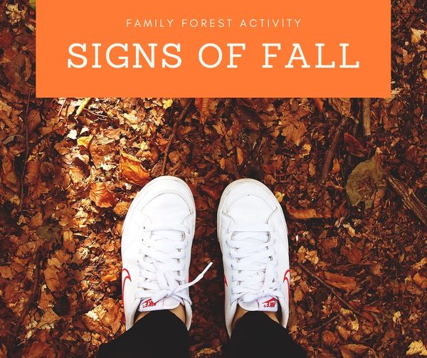 NC PLT (@pltinnc) on Twitter photo It's nearly fall y'all! 🍁🍂
Use this <a href="/PLT/">Project Learning Tree</a> activity to notice the changes that come with autumn. They observe the annual change of seasons and investigate why the leaves of deciduous trees change color in the fall.
plt.org/family-activit… It's nearly fall y'all! 🍁🍂
Use this <a href="/PLT/">Project Learning Tree</a> activity to notice the changes that come with autumn. They observe the annual change of seasons and investigate why the leaves of deciduous trees change color in the fall.
plt.org/family-activit…