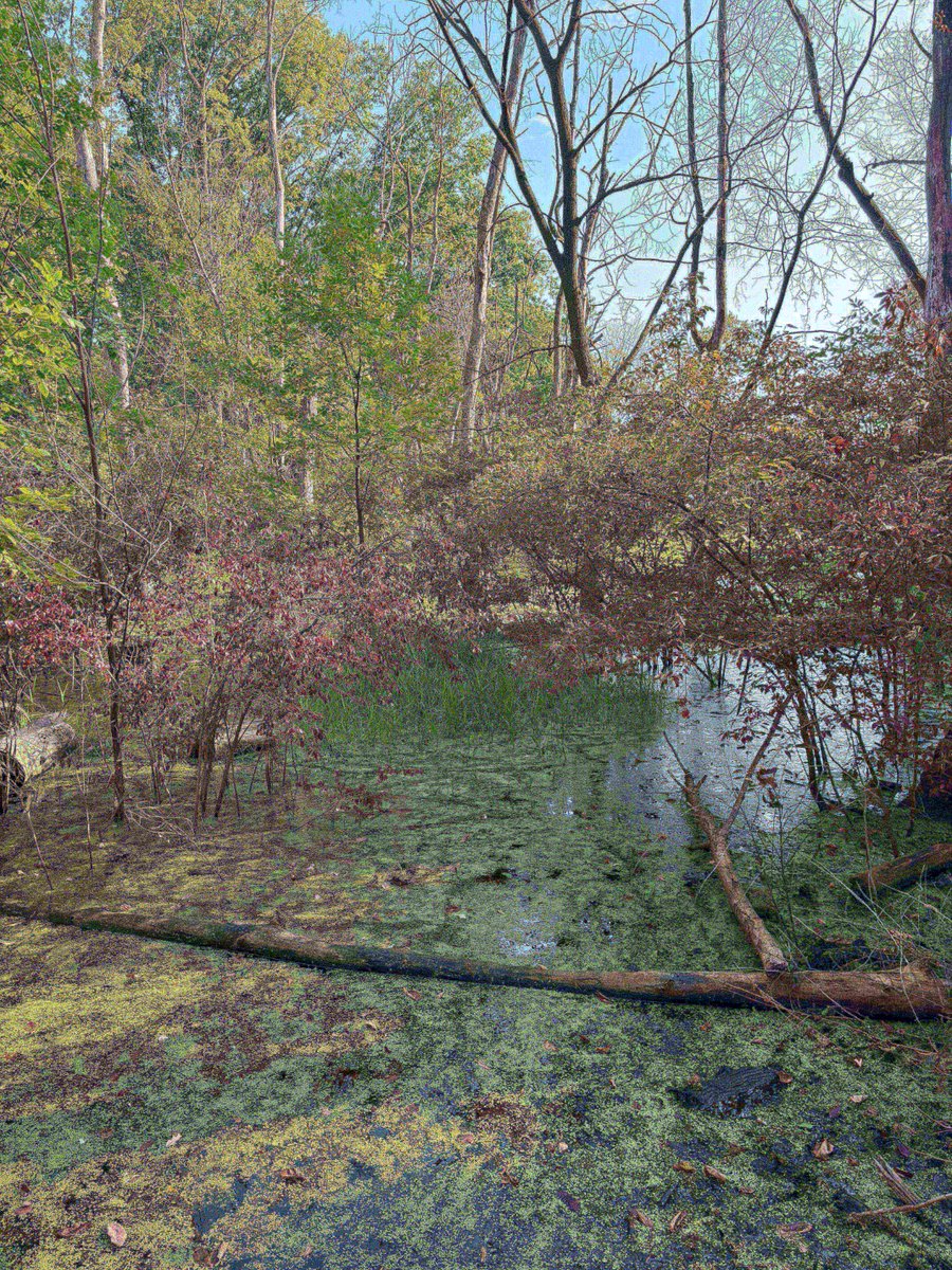 Have you heard of Purdue University’s Drainage Water Recycling project, based at Purdue’s ACRE? Tune into AgDay.com tomorrow morning to watch Dr. Laura Bowling talk about the importance of studying drought resilience for #midwestfarms

i.mtr.cool/twpkfmvoxi