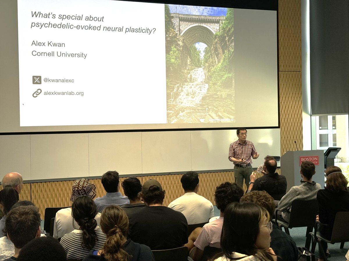 HasselmoMichael's tweet image. In today&apos;s joint @buCSNneuro and Brain, Behavior, &amp;amp; Cognition seminar, Prof. Alex Kwan (@kwanalexc) from @CornellBME is discussing, &quot;What’s special about psychedelic-evoked neural plasticity?&quot; Thanks Prof. Ben Scott (@gehirnkarte) for hosting!