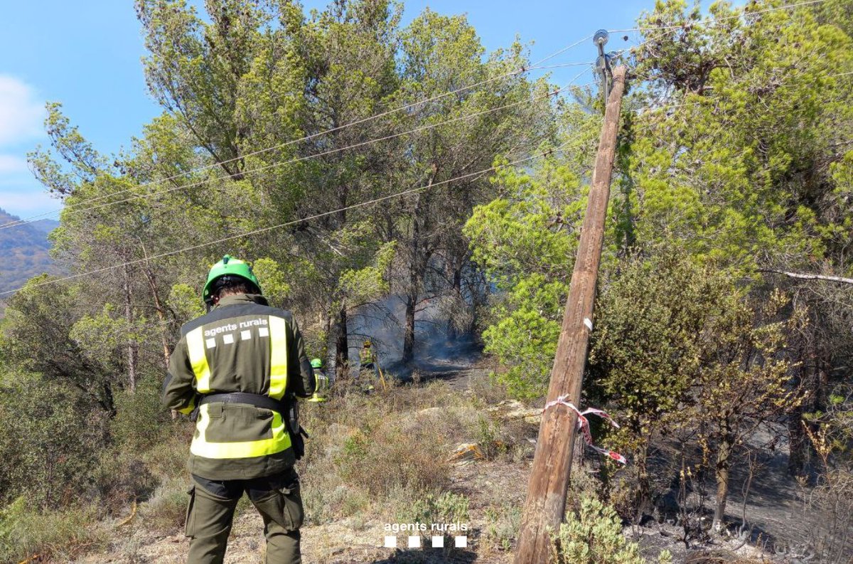 ℹ️🔥 L'incendi a Porrera (Priorat) afecta una superfície aproximada d'unes 1,5 hectàrees, segons dades provisionals d'#AgentsRurals.

Tot apunta que la causa ha estat una línia elèctrica.