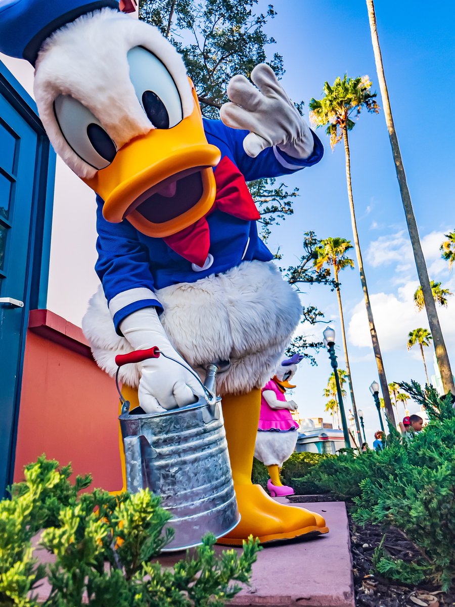 Matt Cutshall tweet media