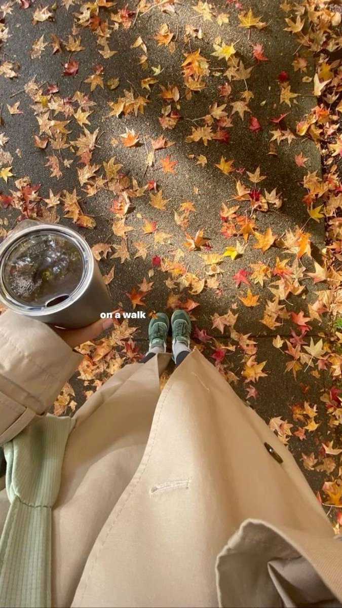 shewearprada's tweet photo. Crisp autumn days 🍂⛅☕🥮 https://t.co/K5r8PBJgk5