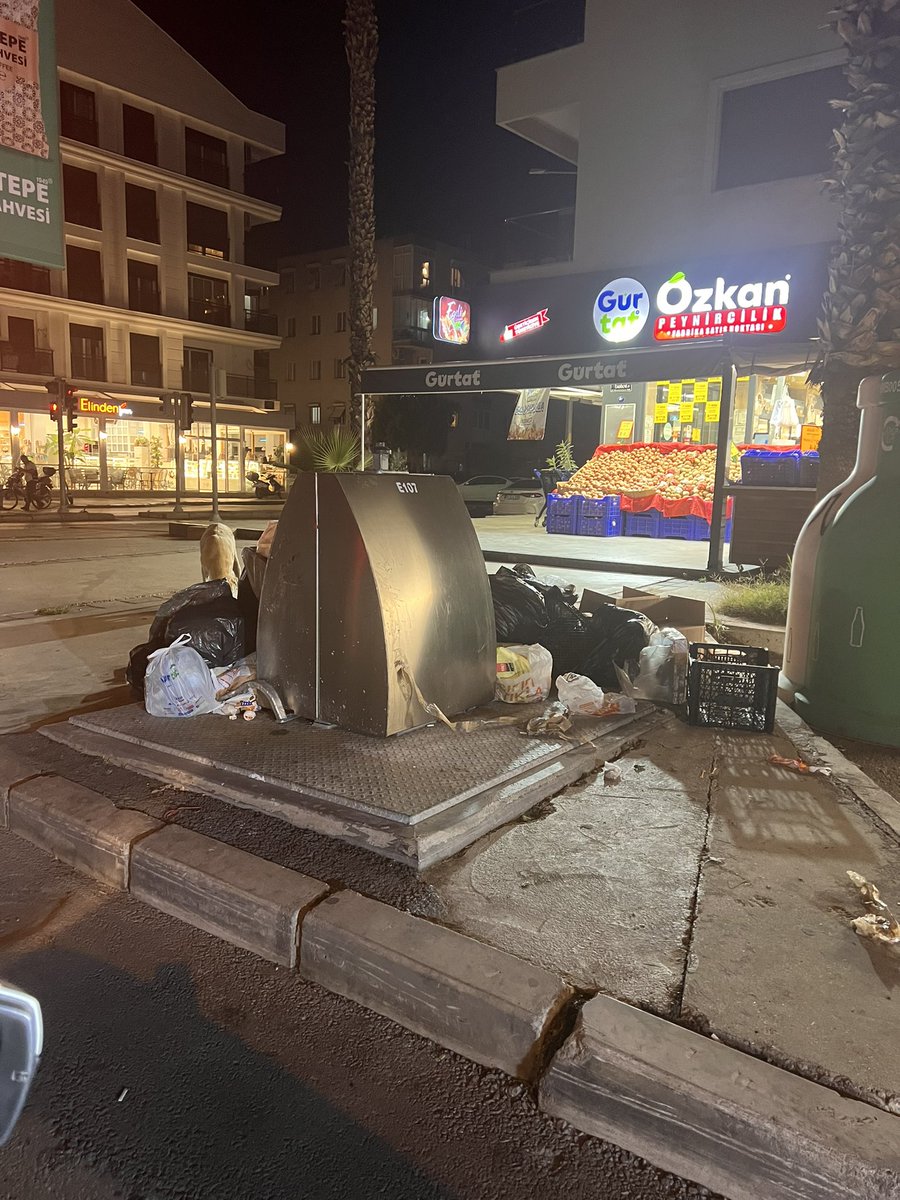hindular's tweet photo. Şehrin göbeğinde şunu normalleştirmeyelim ya. Oy verdiğimiz belediye gerçekten bu mu??!
Karşıyaka/Bahçelievler

@izmirhim @izmirbld https://t.co/ndyOSms6Vh