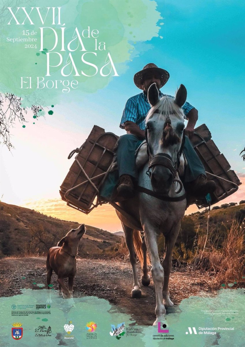 El Borge presume de su cultivo reconocido mundialmente por Naciones Unidas con la celebración del Día de la Pasa lavozdemalaga.com/el-borge-presu…