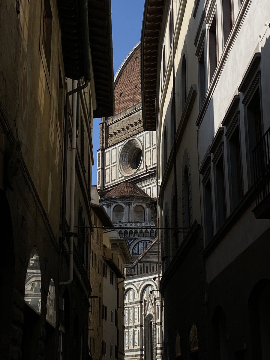 José Miguel tweet media