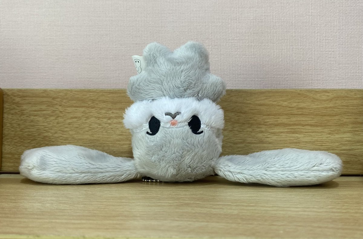 이렇게 귀여운 토끼는 처음이양.. 아주 소중하게 잘 간직중,,,,🩵🐰