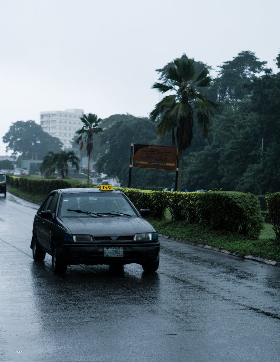 simplyFera's tweet image. When it rains... 

12/9/24