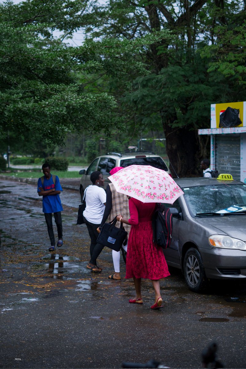 simplyFera's tweet image. When it rains... 

12/9/24