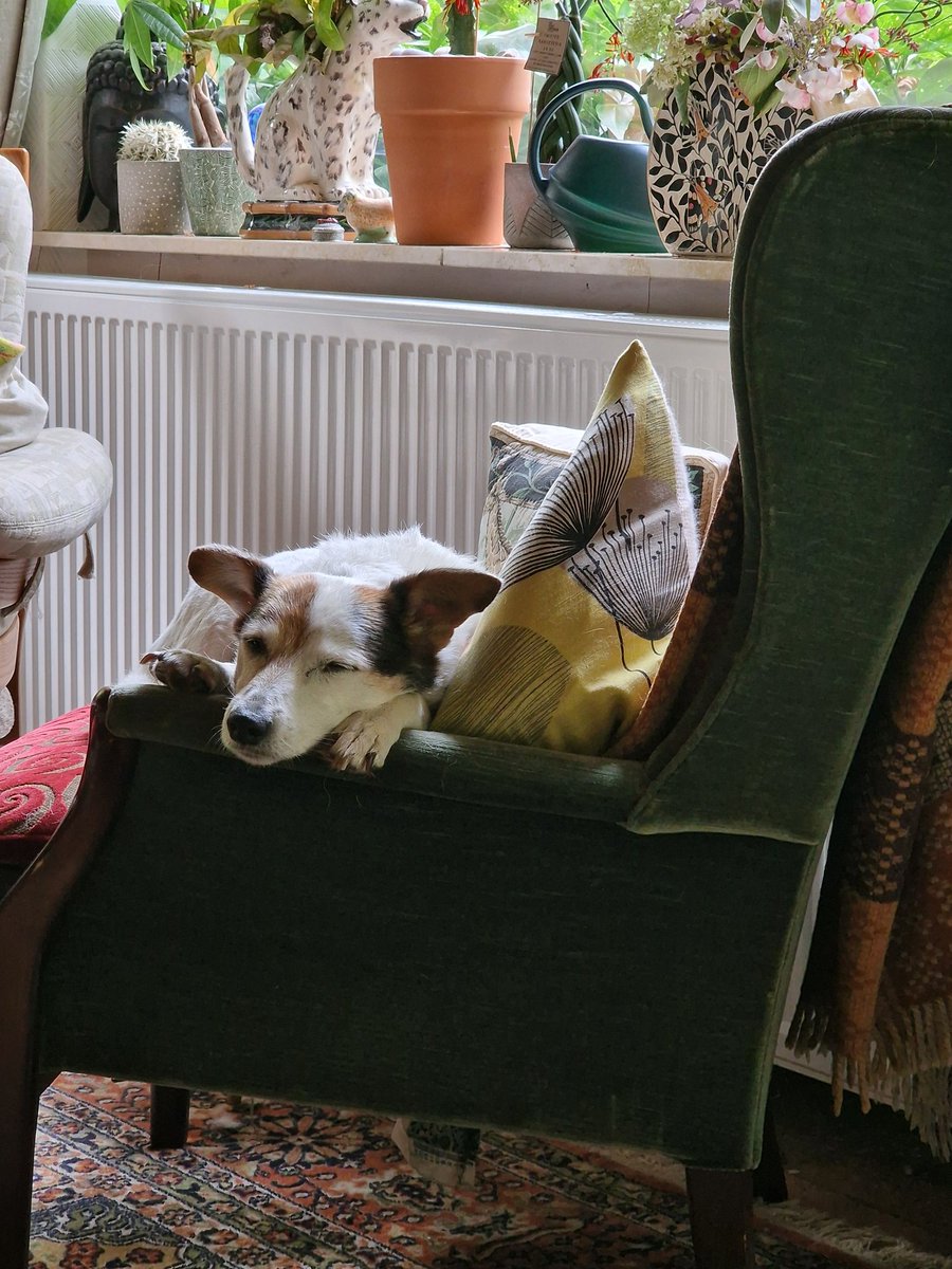 Marina Pepper tweet media