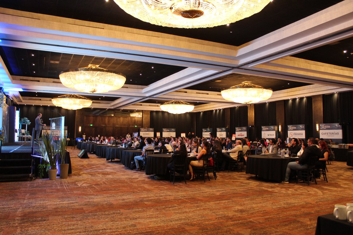 Index Chihuahua tweet media