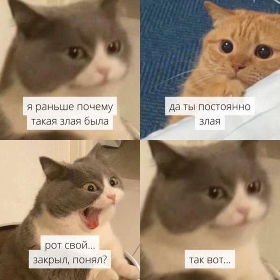 Наташа Переводчица (@humortranslate) on Twitter photo 