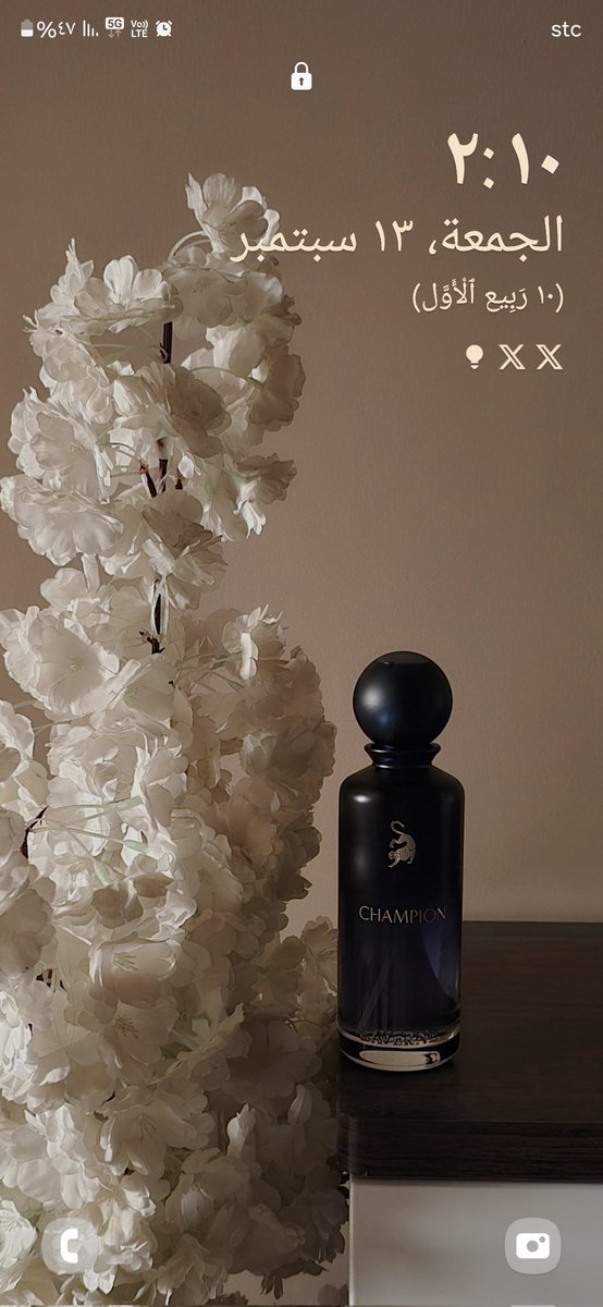 اناقه تشامبيون 🎶  #لافيرن <a href="/laverne/">لافيـرن - LAVERNE</a>