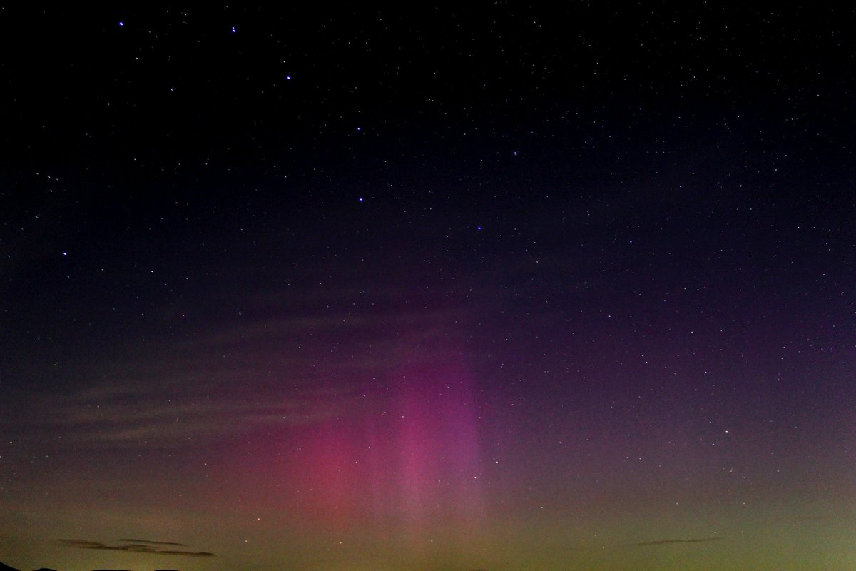 James Dilleen tweet media