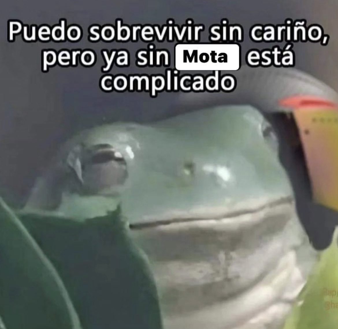 Angeel_Artesano's tweet image. Lo veo difícil…