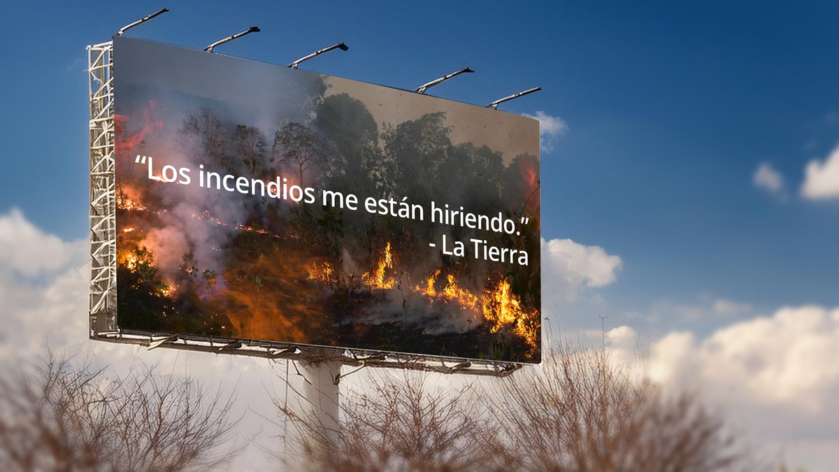 WWF Latinoamérica tweet media