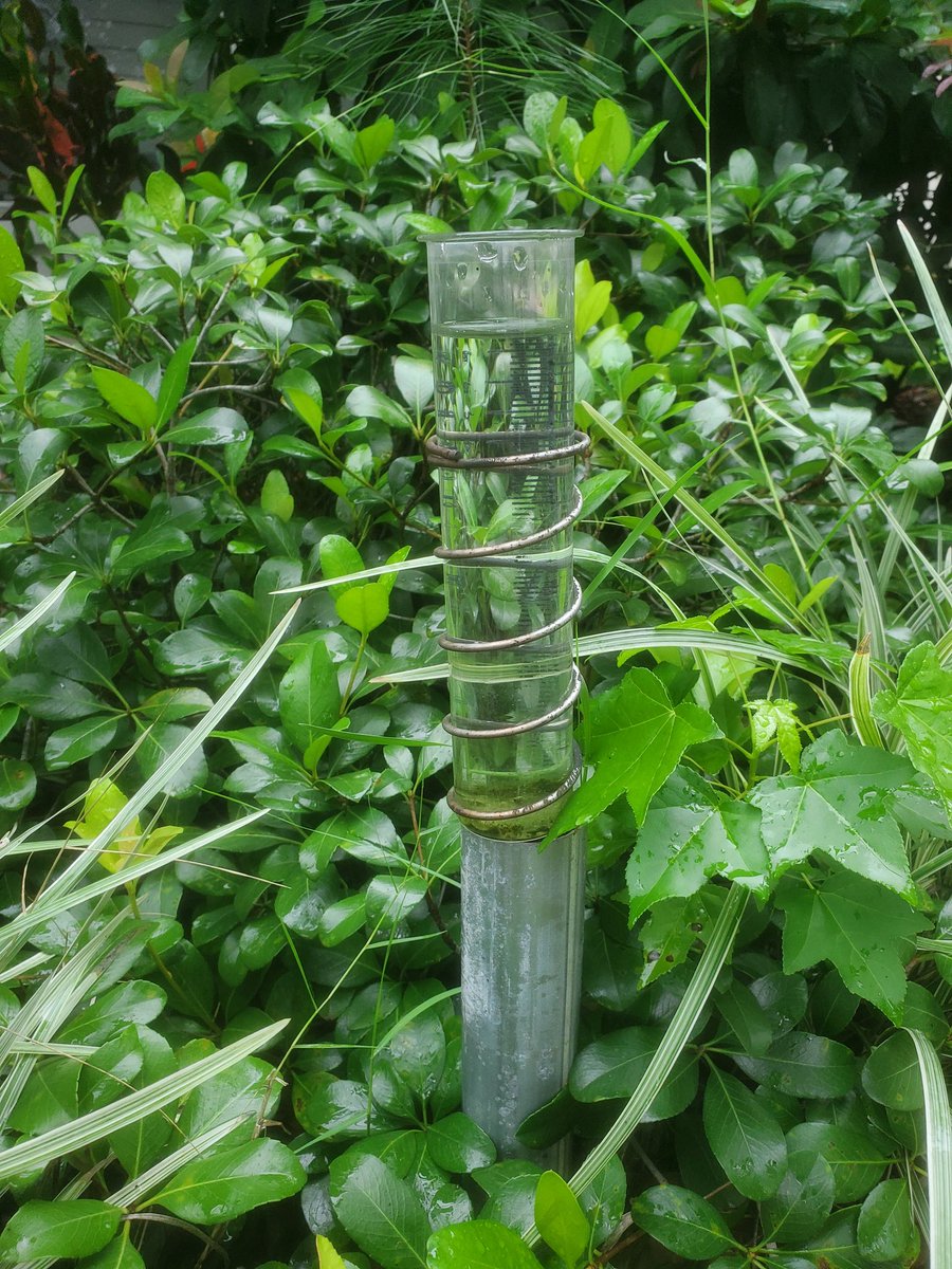 The rain continues in Jacksonville.  8 inch gage emptied again